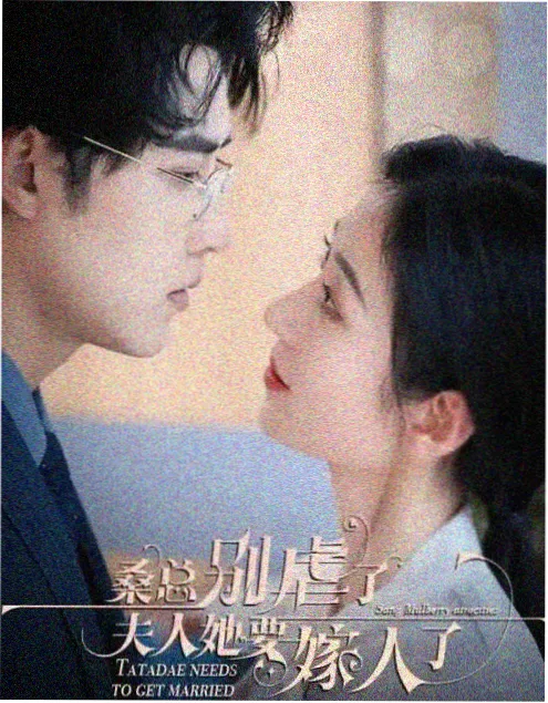 热播剧集《城南旧巷》海报